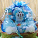 Paket kado bayi baby gift parcel bayi parcel kado bayi kado lahiran doraemon biru