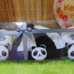 FREE KARTU UCAPAN hadiah lahiran kado bayi baby gift set topi sepatu newborn new born 0-6bulan motif panda lucu